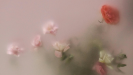 Regard incertain