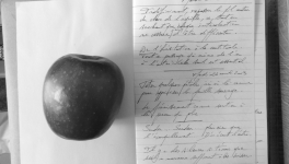 Petits Papiers Volants : Journal D'écriture 2003-2019- 11-02-2005-19-10-2009