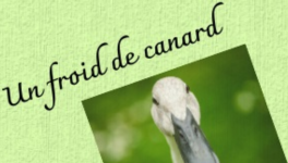 Exercice d'écriture - Un froid de canard