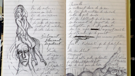 Petits Papiers Volants : Journal D'écriture 2003-2018 -mardi 6 et jeudi 8 mars 2018