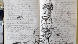 Petits Papiers Volants : Journal D'écriture 2003-2018 - mercredi 28 février 2018