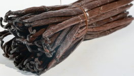 Décryptage de la Révolution Génétique de la Vanille