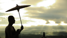 The Story of Feng Li