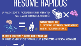 La force : résumé rapidos