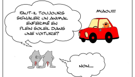 Le rat qui ne faisait pas toujours preuve d'altruisme