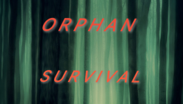 Chapitre 15 - Passif