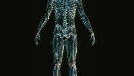 Episode 46 : Dure réalité ?