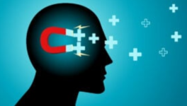 Aphorisme n° 23 : Loi de l'attraction