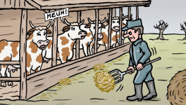 Fin des manifs - Retour à l'étable