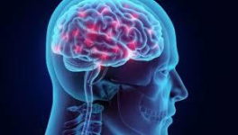 Quand l'humour est inné, l'auditoire est forcément acquis !