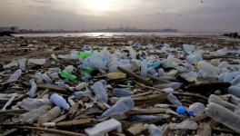 la SOLUTION au plastique 