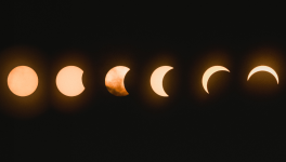 Le livre de la nuit d'Holly Black