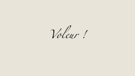Voleur !