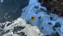 Mon édifice brinquebalant