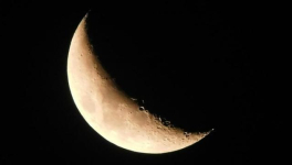 Décembre 2021 - Musset