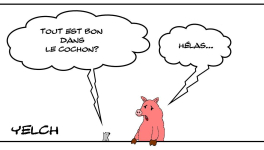 Tout est bon dans le cochon 