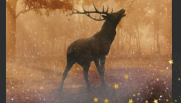 #Linktober 2025. La brame du ROI.