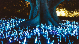 Un conte pour enfant selon vous