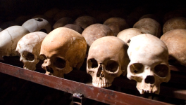 Génocide