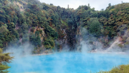 Le jour où je me suis décidée