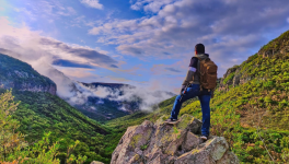 30 - Vacant : (challenge #LinkTober2025)