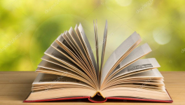 #66 Et puis un jour (Something New) by Ludivine Delaune 