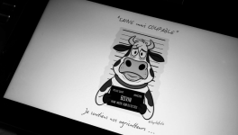 Omnivores, végans : et si l’ennemi était ailleurs ?