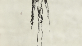 Carnets Dessins jeux de couleurs et d'ombres : 2016