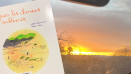 #jour 3 - l’instant qui s’étonne