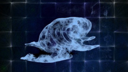 Ça colle à la Rétine - 1er single 2024