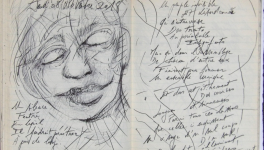 Petits papiers volants - Jeudi 8 novembre 2018