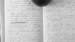 Petits papiers volants : journal d'écriture 2003-2018