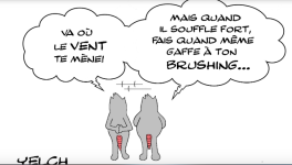 va où le vent te mène 2