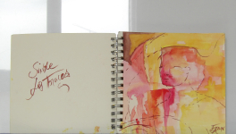 Carnets Dessins jeux de couleurs et d'ombres - 2018 - Suivre les traces.