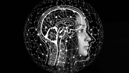 L'humour qui par principe prête à rire, donne aussi à réfléchir !