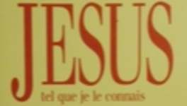 Sœur Emmanuelle 