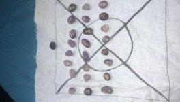 le sens de ma raison