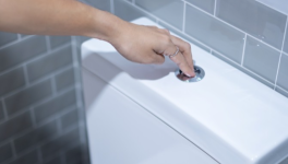 HISTOIRE COURTE - 1 Vie quotidienne