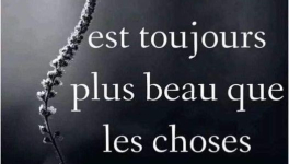 LES PHRASES TOUTES FAITES