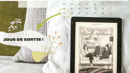 Book'n'furious : Comme des sœurs - Eloïse Hailone