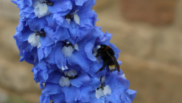 un écrin de Klein enroulait la planète...Photo by Another Day Xx on Unsplash