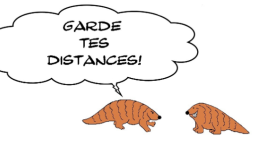pangolin farceur
