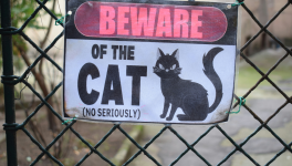 L'affaire du Chat perché...