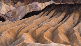 La vaine quête des causes