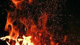 LA FLAMME DE LA LIBERTÉ