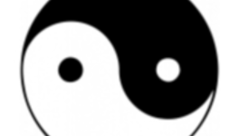 voeux 2025 : équilibre Yin Yang