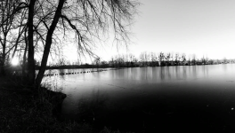 Chronique N°1 : Le Bonheur à 3 balles (ou la théorie de la grenouille)