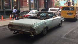 Serions-nous devenus fous?