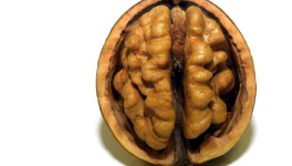 Pour qui a goûté aux jeux-de-mots, l'humour est bien plus que plat tonique !