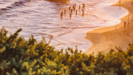 Covid-19 : plages interdites !